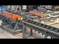 Heavy Duty Long Wood Log Timber Multi Disc Saw Rip Cutting Line for Czech Client