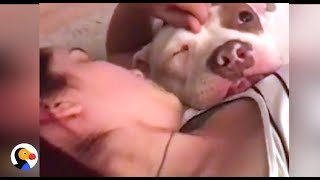 Dogs React To Getting Adopted: Clear The Shelters | The Dodo