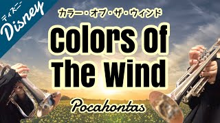 カラーオブザウィンド【トランペット】colors of the wind / Trumpet Disney Cover