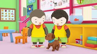 Charley Goes To School By Tchoupi - A Puppy At School S02E07