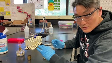 Bacterial Isolation Lab