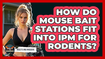 How Do Mouse Bait Stations Fit Into IPM For Rodents? - Insects and Invaders