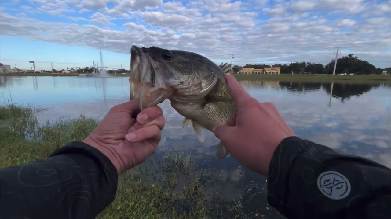 Bass Fishing Compilation