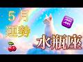 【水瓶座】5月の運勢❤️祝報！！こりゃ、すごい😳とんでもない祝福がやってくる🌈水瓶座🌕下弦の月の恩恵🙌🙌スーパー豊かな収穫祭💐ハッピーソウルメイト🌈マンスリー　2026年　タロット
