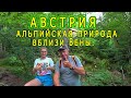 Австрия. Альпы.Поход в горы, к ручью с водопадами....