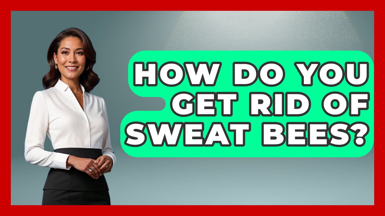How Do You Get Rid Of Sweat Bees? - Reptilian Wonders