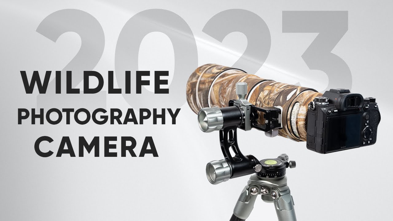 7 Best Wildlife Photography Camera In 2024 YouTube