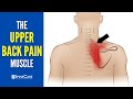 The Upper Back Pain Muscle (How to Release It for INSTANT RELIEF)