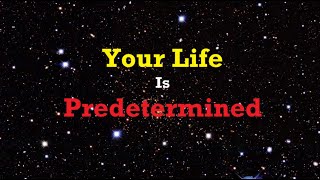 Freewill Does Not Exist - The Science Behind Fate
