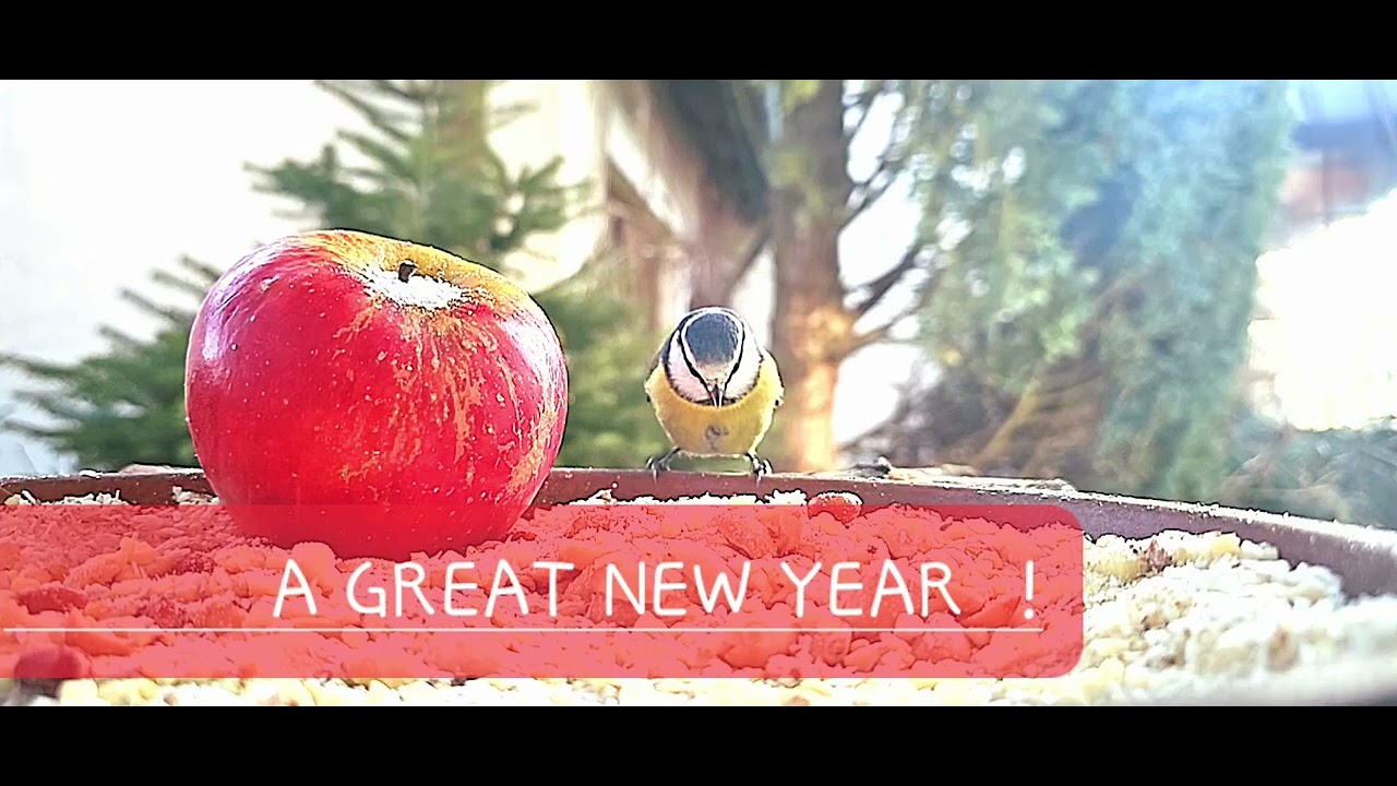 A GREAT NEW YEAR ! - YouTube