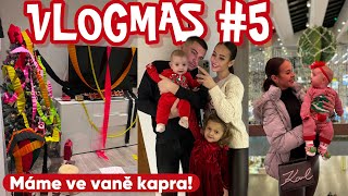 VLOGMAS #5 | NAŠE DNY PŘED ŠTEDRÝM DNEM, MÁME KAPRA A POSLEDNÍ NEPLECHY OD VÁNOČNÍHO ELFA 🧑‍🎄🎄