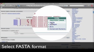 NCBI BLAST Tutorial - Part 1