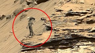 NASA's Mars Perseverance Rover New Video Footage || Mars Perseverance Rover 4k Video : Sol 1231