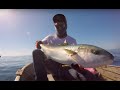 Pesca de jureles yellowtail en "los corrales" Ensenada