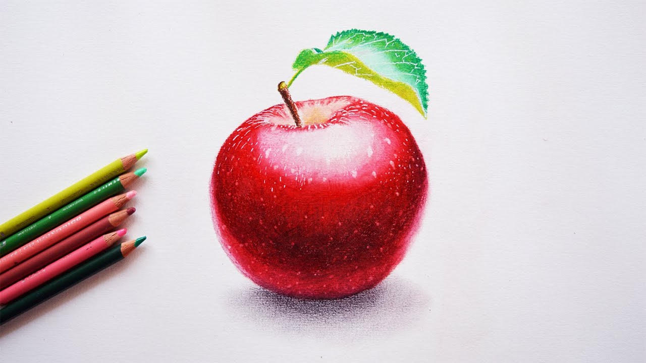 Sketch Realistic Apple Drawing