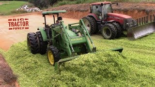 Corn Chopping Packing Silage