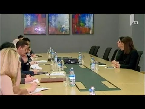 შსს-ს წარმომადგენლები NDI-ის წევრებს შეხვდნენ