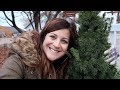 Planting Up Our City Pots for Winter // Garden Answer