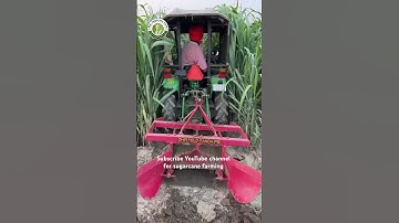 Mini tractor #riar_sugarcane_farm #tractor #johndeere #sugarcane #farming #agriculture #trencher