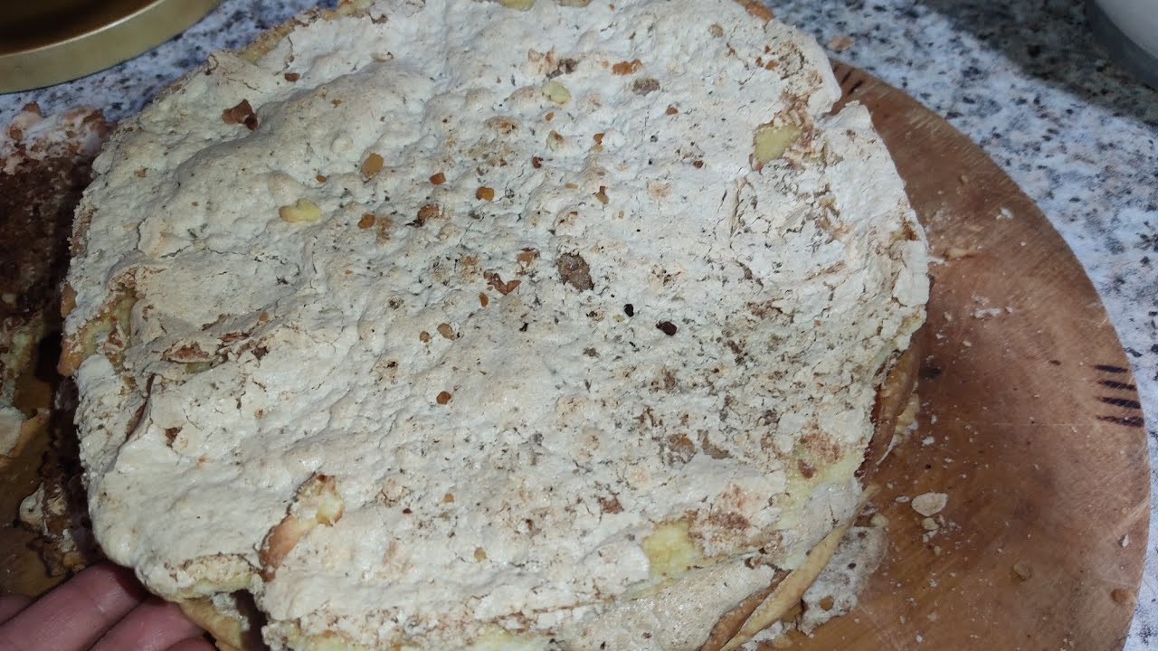 Admiral tortu 💯 tam izahlı video #tortvideoları #tort #tortlar #trends #trending #admiral