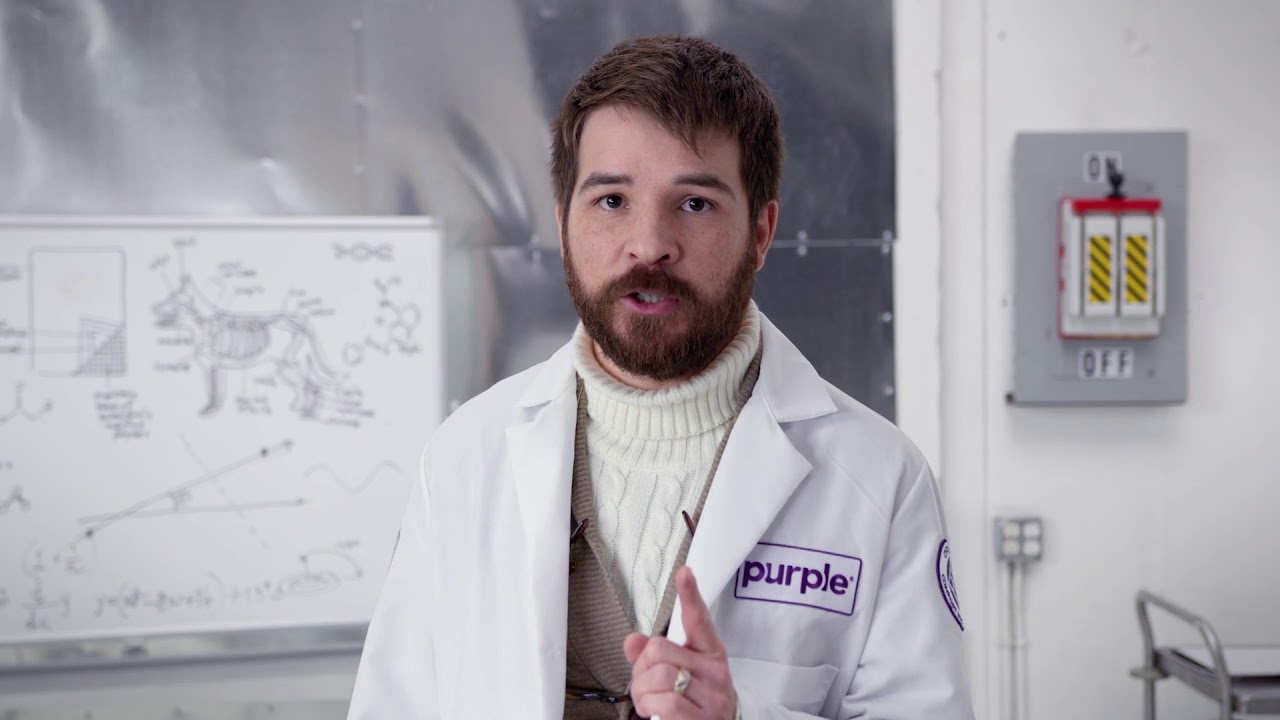 The Purple Pet Bed Scientific Comfort For Your Dogs Cats Hedge Hogs the-purple-pet-bed-scientific-comfort-for-your-dogs-cats-hedge-hogs