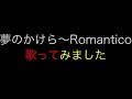 仮面ライダー555『夢のかけら~Romantico』歌ってみました