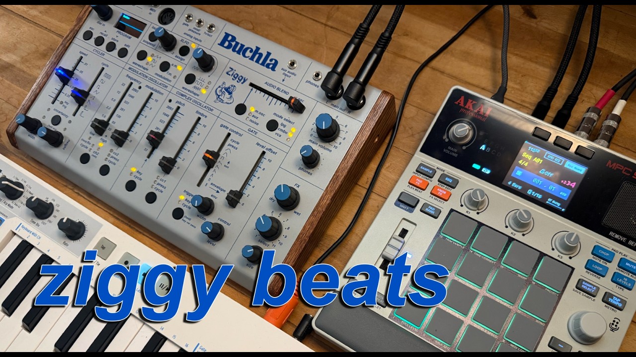 Buchla Ziggy Desktop Instrument Module | Sweetwater