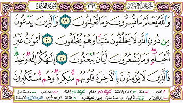 القرآن الكريم مقسم صفحات   الشيخ حاتم فريد   سورة النحل   صفحة 269 مكتوبة   مصحف التجويد الملون 720p