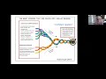 Understanding Dyslexia and Structured Literacy