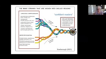 Building Confident Readers Through K–5 Dyslexia Screening & Literacy Instruction | Amplify