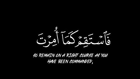 فاستقم كما أمرت... القرآن الكريم شاشة سوداء || القارى ناصر القطامي