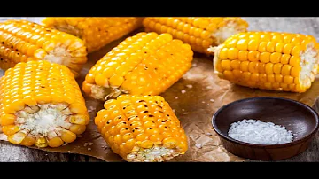 Jaké jsou nejlepší pomocníky na psí chlupy?