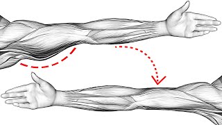 Do This Every Day To Lose Flabby Arms