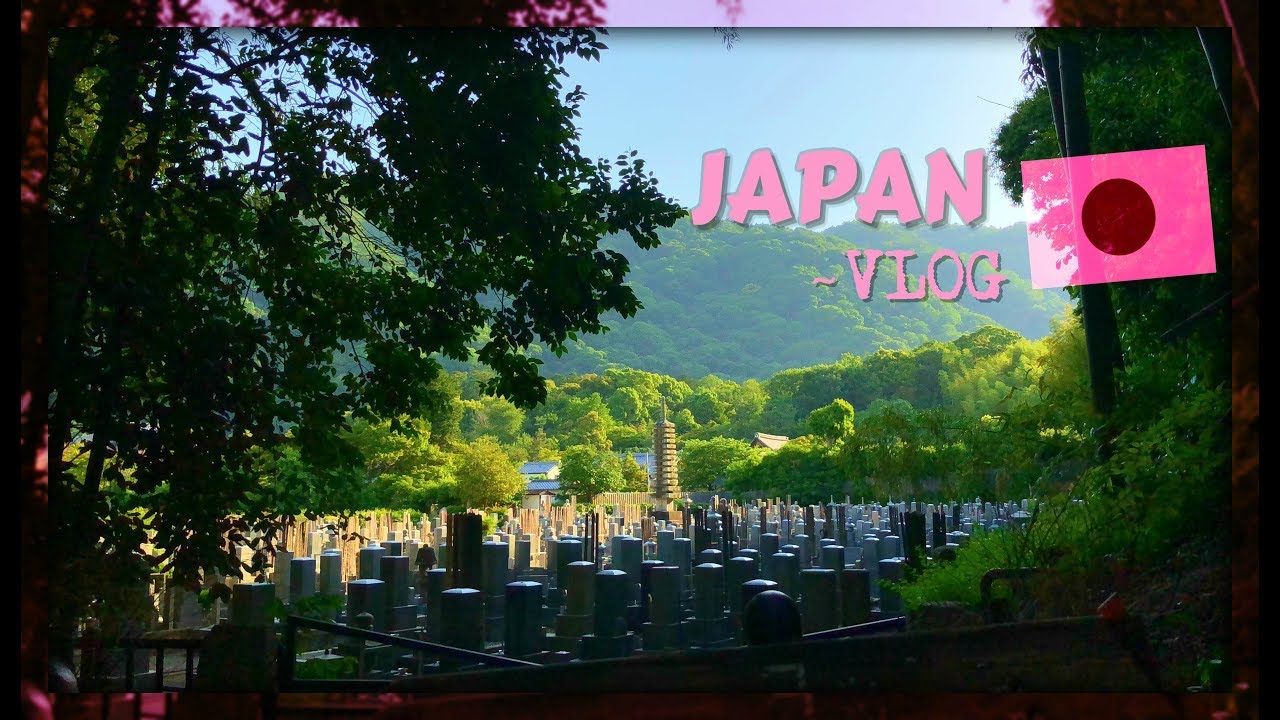 TOKYO & KYOTO TRIP | SHINJUKU SQUAD VLOG