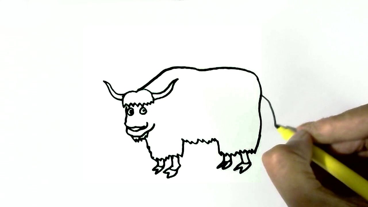 Featured image of post How To Draw A Yak Then draw a horizontal line halfway