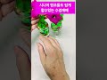 시니어 왕초보들도 쉽게 할수있는 수경재배 #나팔꽃 식물