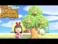 2me tentative de clochettier  99000 clochettes   animal crossing new horizons 313 lets play