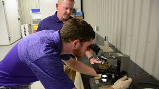 Undergraduate Research: Deep litter method for poultry production Wealth