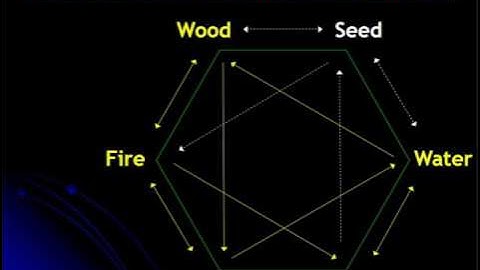 6-element acupuncture: Five-element theory within Six-element theory