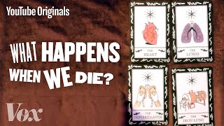 What Happens When We Die?  Glad You Asked S1