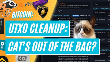 Bitcoin UTXO Censorship? (THE CAT), PNC Bank, Blockstream Vulnerability, & Ledger Lambo - BCN 927606