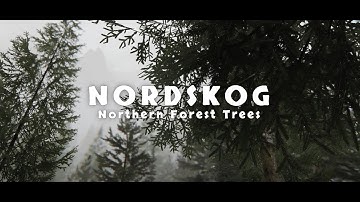 Skyrim’s Most Underrated Tree Mod | NORDSKOG - Northern Forest Trees Showcase (HD/4K)