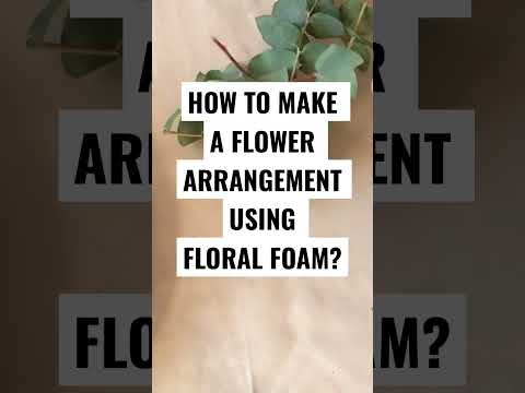 Vídeo: Foamflower Plants - Aprenda a cultivar flores de espuma em jardins