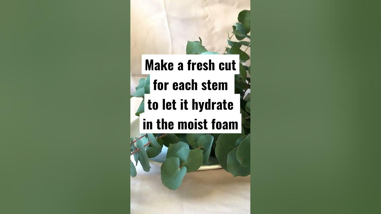 How to use wet floral foam - floral foam arrangements - oasis floral foam 