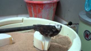 Cuttle fish casting