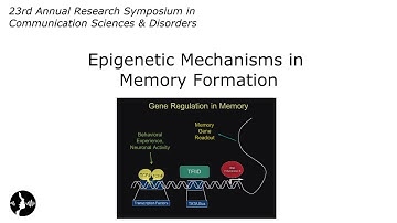 David Sweatt, PhD: Epigenetic Mechanisms in Memory Formation