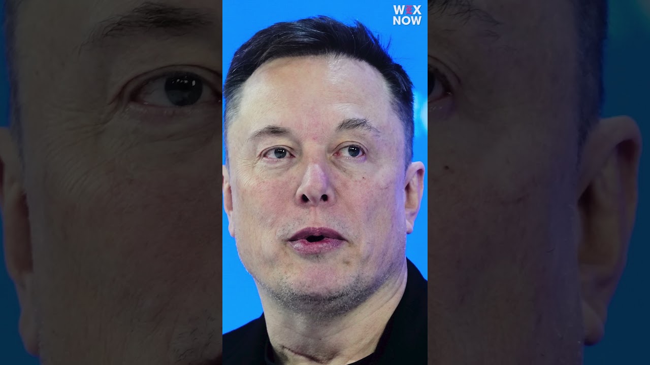 Musk warns against ‘Terminator outcome’ in OpenAI testimony: ‘It could kill us all’