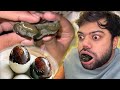 Black color ke eggs kha liye   aaj ke baad kabhi nahi khaoun ga 