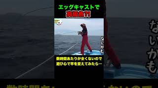 短い竿は高級魚も釣れる！！ #shorts #釣りよかでしょう #釣りよか #釣り #fishing #エッグキャスト #アコウ  #キジハタ #おもちゃみたいな竿