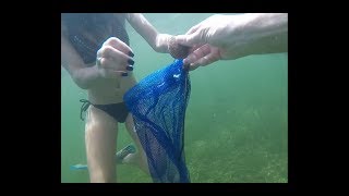 Scalloping in the Gulf of Mexico